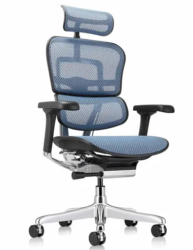 Крісло ERGOHUMAN ELITE 2 (EHE2-AB-HAM-5D-L, сітка T-168-B4 Cobalt), ергономічне