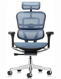 Крісло ERGOHUMAN ELITE 2 (EHE2-AB-HAM-5D-L, сітка T-168-B4 Cobalt), ергономічне 2
