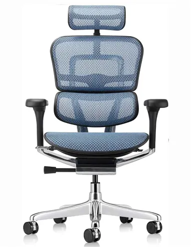 Крісло ERGOHUMAN ELITE 2 (EHE2-AB-HAM-5D-L, сітка T-168-B4 Cobalt), ергономічне