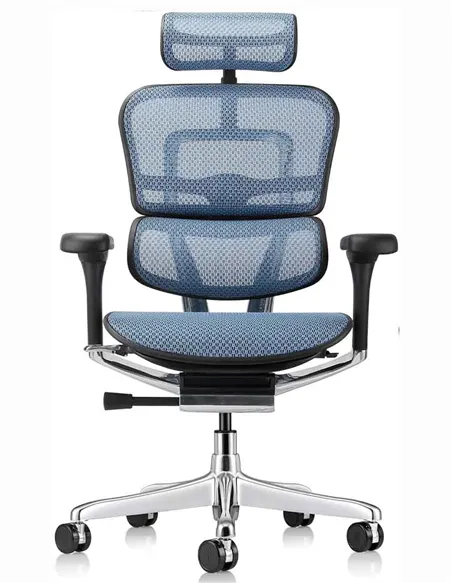 Крісло ERGOHUMAN ELITE 2 (EHE2-AB-HAM-5D-L, сітка T-168-B4 Cobalt), ергономічне