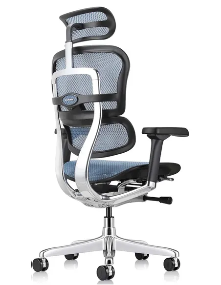Крісло ERGOHUMAN ELITE 2 (EHE2-AB-HAM-5D-L, сітка T-168-B4 Cobalt), ергономічне