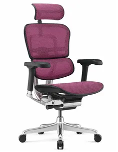 Крісло ERGOHUMAN ELITE 2 (EHE2-AB-HAM-5D-L, сітка T-168-B5 Pink), ергономічне