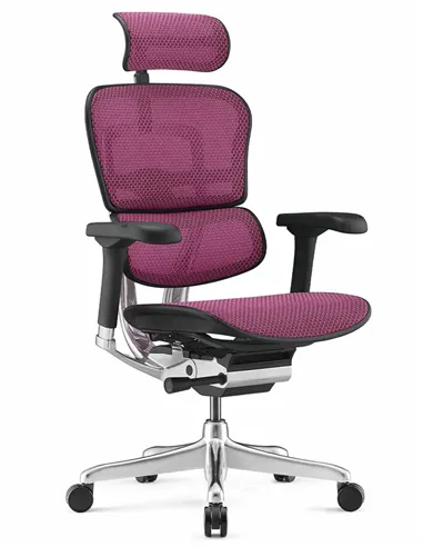 Крісло ERGOHUMAN ELITE 2 (EHE2-AB-HAM-5D-L, сітка T-168-B5 Pink), ергономічне