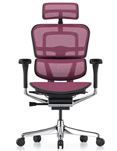 Крісло ERGOHUMAN ELITE 2 (EHE2-AB-HAM-5D-L, сітка T-168-B5 Pink), ергономічне 2
