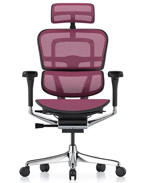 Крісло ERGOHUMAN ELITE 2 (EHE2-AB-HAM-5D-L, сітка T-168-B5 Pink), ергономічне