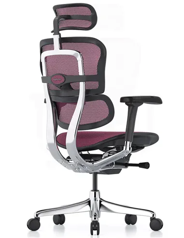 Крісло ERGOHUMAN ELITE 2 (EHE2-AB-HAM-5D-L, сітка T-168-B5 Pink), ергономічне