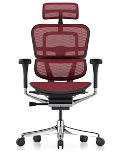 Крісло ERGOHUMAN ELITE 2 (EHE2-AB-HAM-5D-L, сітка T-168-B3 Scarlet), ергономічне