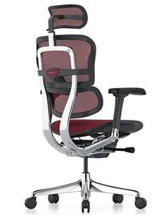 Крісло ERGOHUMAN ELITE 2 (EHE2-AB-HAM-5D-L, сітка T-168-B3 Scarlet), ергономічне 2