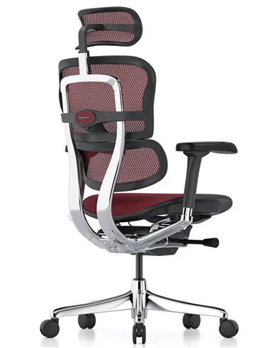 Крісло ERGOHUMAN ELITE 2 (EHE2-AB-HAM-5D-L, сітка T-168-B3 Scarlet), ергономічне