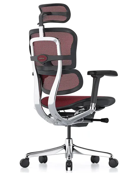 Крісло ERGOHUMAN ELITE 2 (EHE2-AB-HAM-5D-L, сітка T-168-B3 Scarlet), ергономічне