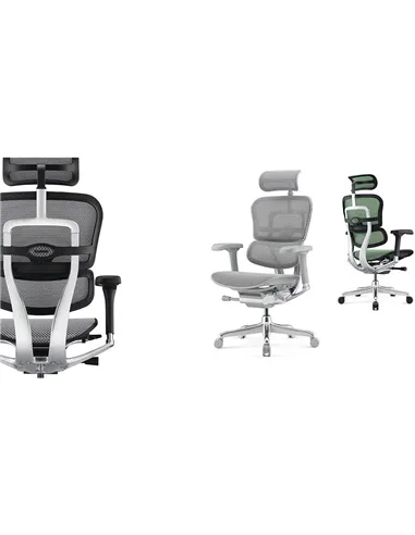 Крісло ERGOHUMAN ELITE 2 (EHE2-AB-HAM-5D-L, сітка T-168-B3 Scarlet), ергономічне