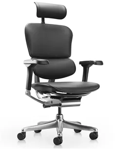 Крісло ERGOHUMAN ELITE 2, BLACK LEATHER, ергономічне
