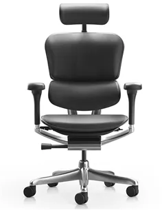 Крісло ERGOHUMAN ELITE 2, BLACK LEATHER, ергономічне 2