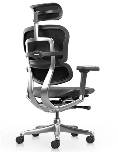 Крісло ERGOHUMAN ELITE 2, BLACK LEATHER, ергономічне