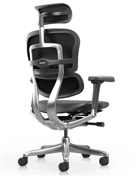 Крісло ERGOHUMAN ELITE 2, BLACK LEATHER, ергономічне