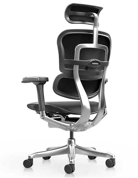 Крісло ERGOHUMAN ELITE 2, BLACK LEATHER, ергономічне