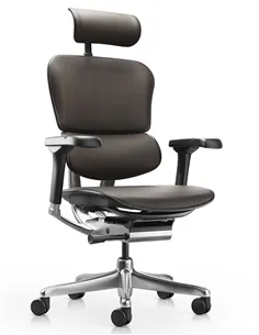 Крісло ERGOHUMAN ELITE 2, BROWN LEATHER, ергономічне