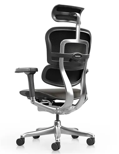 Кресло ERGOHUMAN ELITE 2, BROWN LEATHER, эргономичное