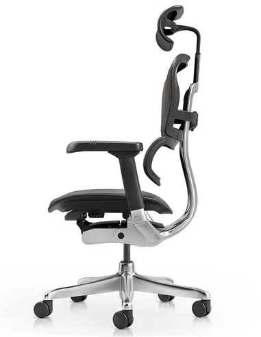 Кресло ERGOHUMAN ELITE 2, BROWN LEATHER, эргономичное