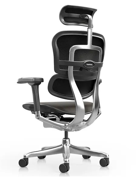 Кресло ERGOHUMAN ELITE 2, BROWN LEATHER, эргономичное