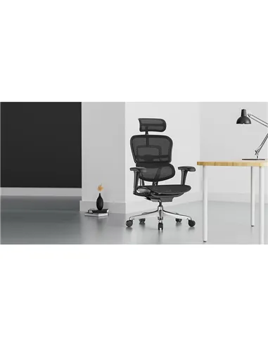Крісло ERGOHUMAN PROJECT 2 BLACK, ергономічне