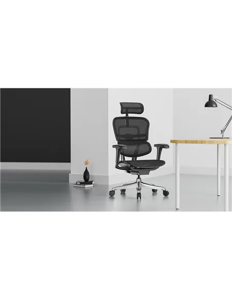 Крісло ERGOHUMAN PROJECT 2 BLACK, ергономічне